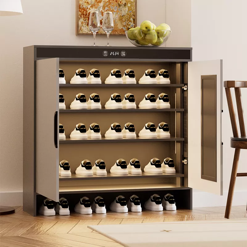 کابینت کفش خشک کن الکتریکی گرافن