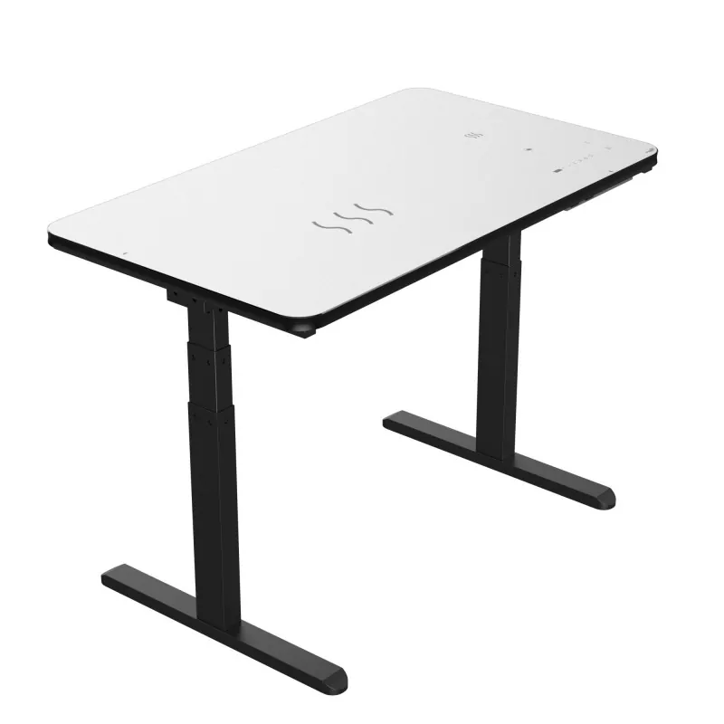Black Glass Board Dual Motor Electric Lifting Table
